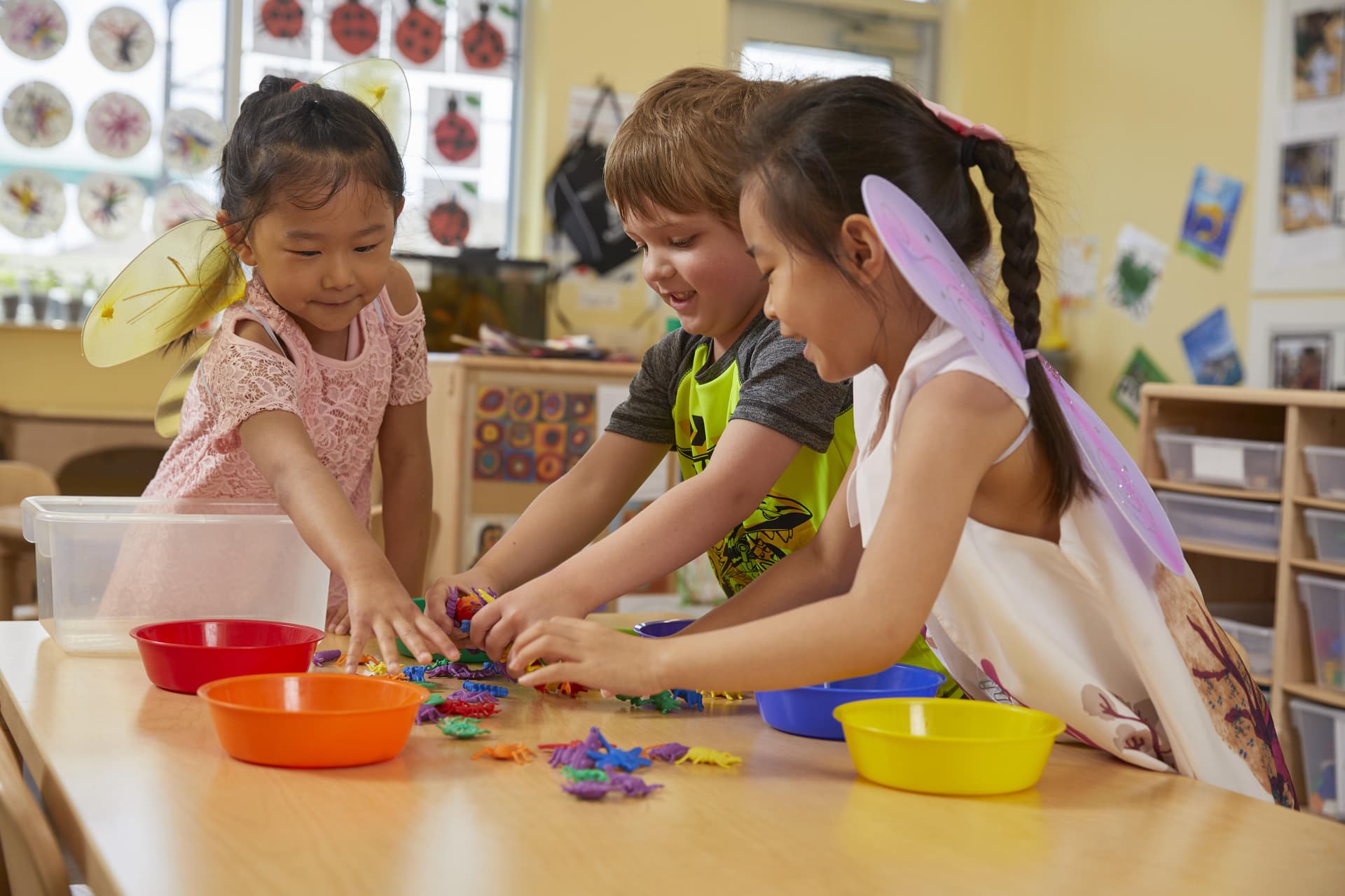 Pre-K Programs: Building Social-Emotional Skills for Kindergarten Success