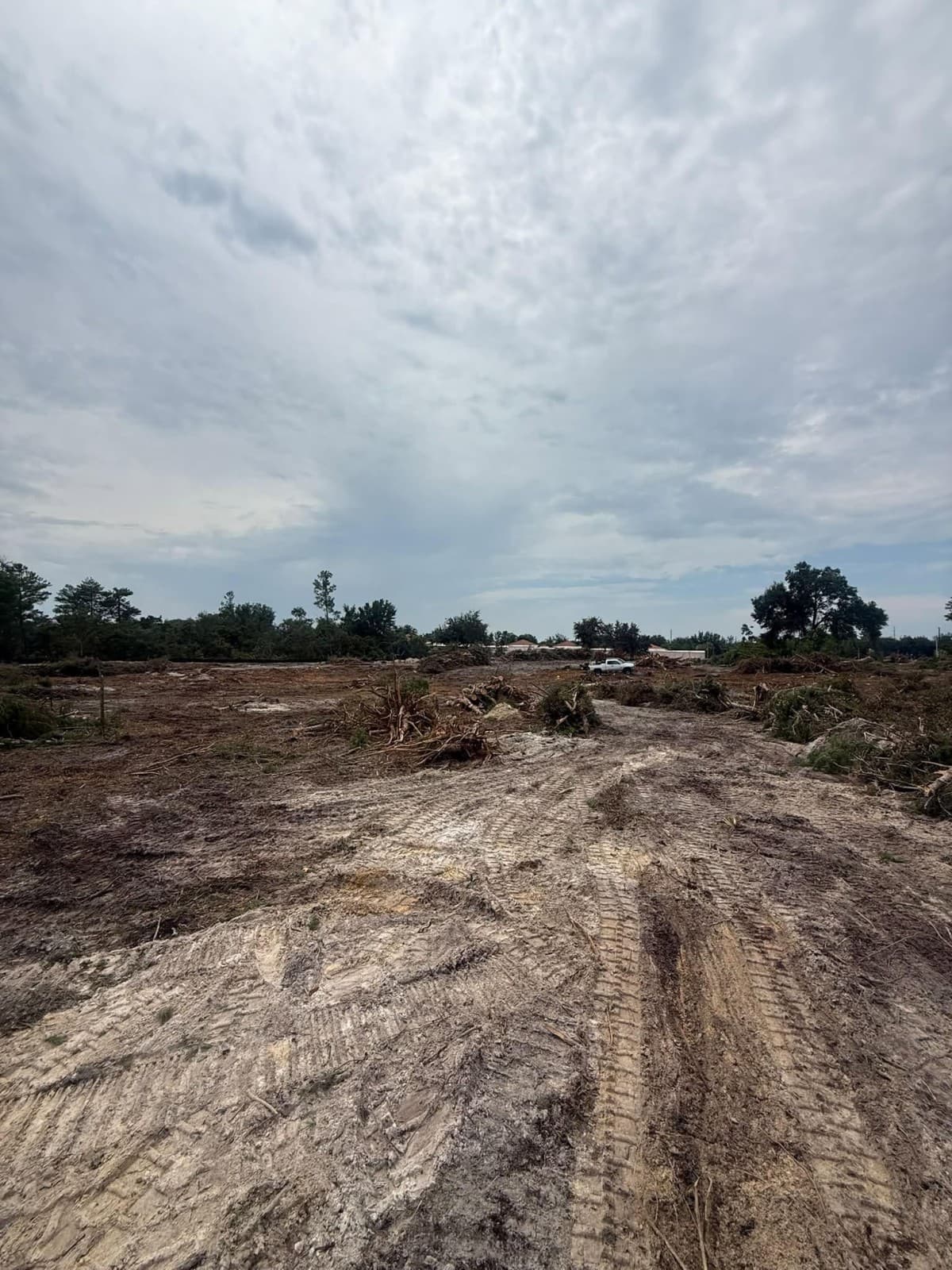 VB Tree Removal lanza recurso educativo sobre costos de desmonte de terrenos y trituración forestal