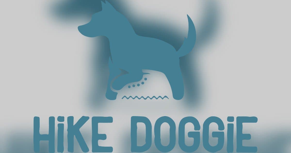 Denver Dog's 5-Star Yelp Review Goes Viral, Highlighting Hike Doggie's Unique Canine Hiking Adventures