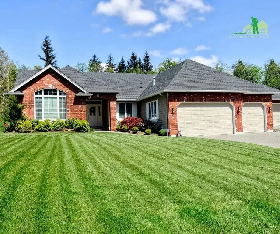 Lawn Care of Saint Johns amplía sus servicios con opciones de productos seguros para mascotas
