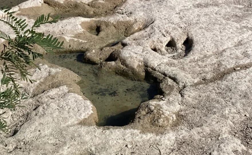 Did You Know? You Can Walk Where Dinosaurs Once Roamed — Right Here in Glen Rose