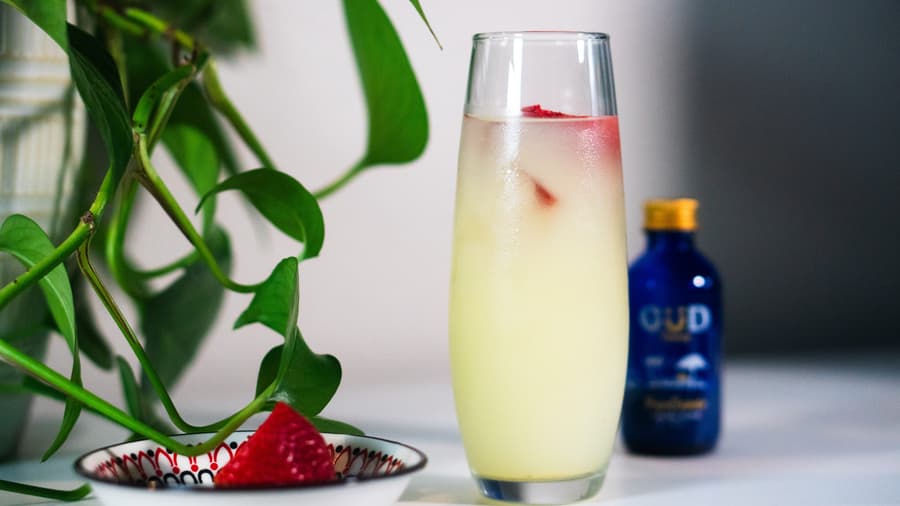 GÜD Tonics presenta elixires eufóricos sin alcohol para una Navidad tropical